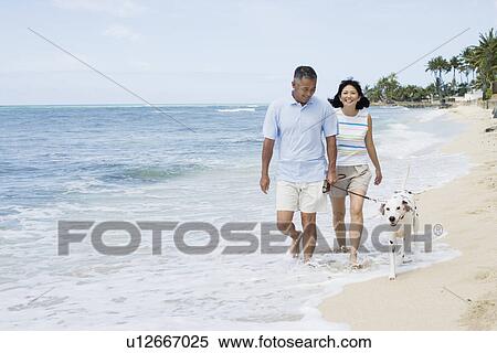 Stock Photography - View of a couple walking with dog at beach. Fotosearch