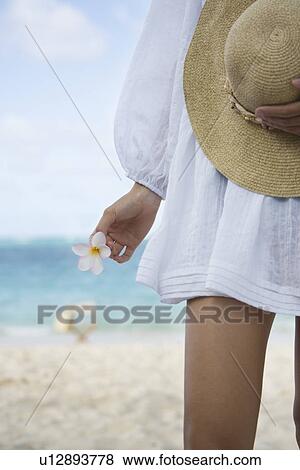 A woman standing on beach with hat and flower in hand View Large Photo Image Stock Photo - A woman standing on beach with hat and flower in hand. Fotosearch