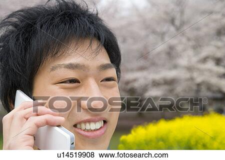 Young man using a mobile phone, cherry blossoms and rape field in the background, front view, close up, Japan View Large Photo Image Stock Photo - Young man using a mobile phone, cherry blossoms and rape field in the background, front view, close up, Japan. Fotosearch