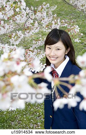Picture - High School Student Under The Cherry Blossoms, Differential Focus. Fotosearch
