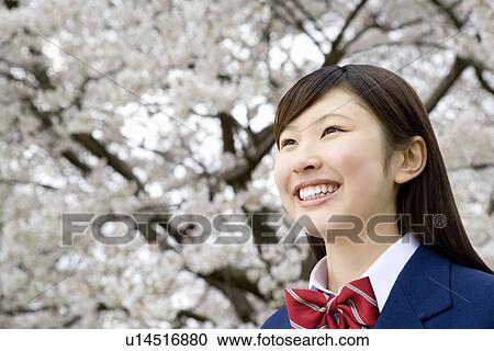 High School Student Under The Cherry Blossoms, Differential Focus View Large Photo Image Stock Image - High School Student Under The Cherry Blossoms, Differential Focus. Fotosearch
