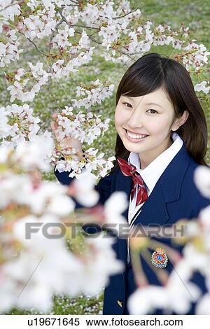 Stock Photography - High School Student Under The Cherry Blossoms, Differential Focus. Fotosearch