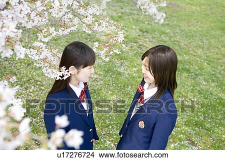 Picture - High School Students Talking Under Cherry Blossoms. Fotosearch