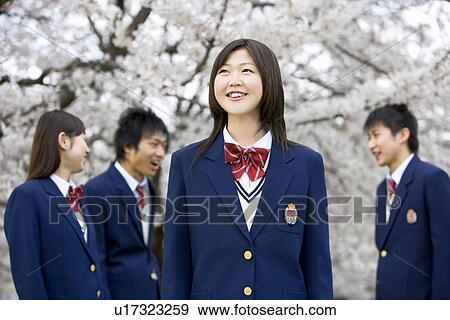 High School Students Under Cherry Blossoms, Differential Focus View Large Photo Image Stock Photo - High School Students Under Cherry Blossoms, Differential Focus. Fotosearch