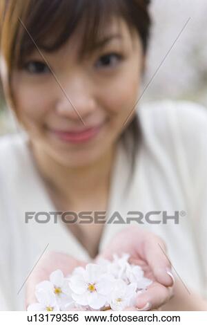 Stock Photograph - Portrait of a woman scooping up cherry flowers with hands, smiling and looking at camera, front view, close up, differential focus, Japan. Fotosearch