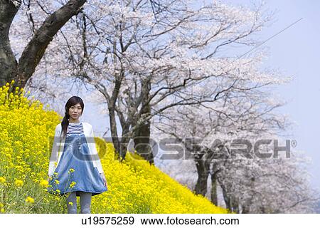 Portrait of a woman standing in rape field, smiling and looking at camera, front view, low angle view, Japan View Large Photo Image Stock Photo - Portrait of a woman standing in rape field, smiling and looking at camera, front view, low angle view, Japan. Fotosearch