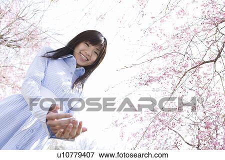 Stock Photo - Portrait of a woman standing under the cherry tree, smiling and looking at camera, low angle view, white background, Japan. Fotosearch