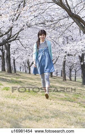 Picture - Portrait of a woman walking under the cherry trees, smiling and looking at camera, front view, Japan. Fotosearch