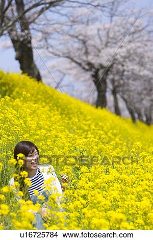 Picture - Woman smiling and sitting in rape field, front view, Japan. Fotosearch