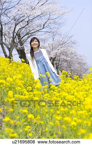 Woman smiling and standing in rape field, front view, low angle view, Japan View Large Photo Image Stock Photo - Woman smiling and standing in rape field, front view, low angle view, Japan. Fotosearch