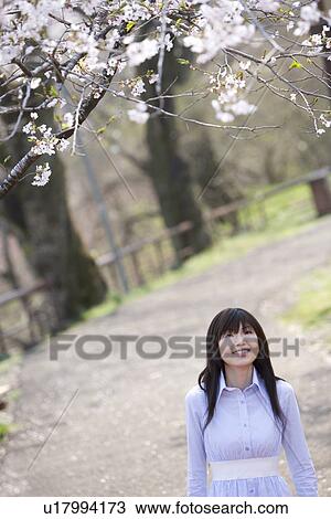 Stock Image - Young Woman and Cherry blossom, High Angle View, Front View. Fotosearch