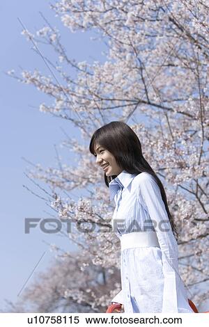 Stock Photography - Young Woman and Weeping Cherry Trees, Side View, Low Angle View. Fotosearch