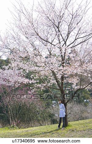 Stock Photography - Young Woman Standing Beneath a Cherry Tree, Side View. Fotosearch