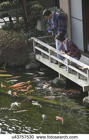 Mature Adult Couple Looking at Carp from the Wooden Balcony, Side View, High Angle View, Three Quarter Length View Large Photo Image Stock Image - Mature Adult Couple Looking at Carp from the Wooden Balcony, Side View, High Angle View, Three Quarter Length. Fotosearch