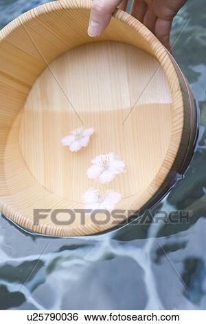 Wooden Pail and Cherry Blossoms Floating on the Water Surface, High Angle View View Large Photo Image Stock Photograph - Wooden Pail and Cherry Blossoms Floating on the Water Surface, High Angle View. Fotosearch