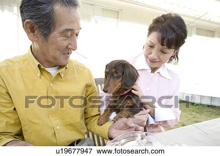 A Senior Adult Couple Having a Break with a Dog in a Garden, Front View, Side View, High Angle View View Large Photo Image Stock Photo - A Senior Adult Couple Having a Break with a Dog in a Garden, Front View, Side View, High Angle View. Fotosearch