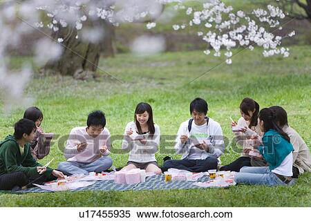 Hanami Under Full-bloomed Cherry Blossoms, Differential Focus, View Large Photo Image Stock Photography - Hanami Under Full-bloomed Cherry Blossoms, Differential Focus, . Fotosearch