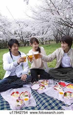 Picture - Three young people toasting with beers, surrounded with cherry blossoms, front view, Japan. Fotosearch