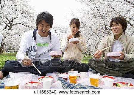 Young people enjoying lunch surrounded with cherry blossoms, front view, Japan View Large Photo Image Stock Image - Young people enjoying lunch surrounded with cherry blossoms, front view, Japan. Fotosearch