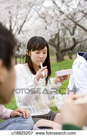 Stock Photo - Young people enjoying lunch surrounded with cherry blossoms, front view, side view, Japan. Fotosearch