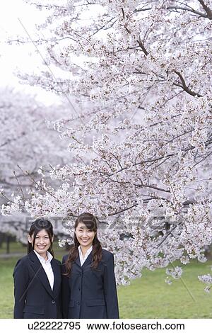Stock Photography - Businesswomen Standing in Front Of Cherry Trees, Smiling, Waist Up, Portrait. Fotosearch