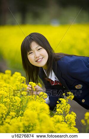 Picture - High School Student In Rape Seed Blossom Field, Differential Focus. Fotosearch