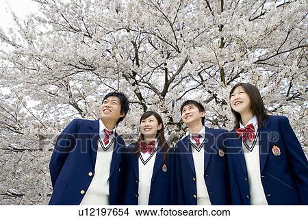 High School Students In Front Of Cherry Blossoms, Looking Up View Large Photo Image Picture - High School Students In Front Of Cherry Blossoms, Looking Up. Fotosearch