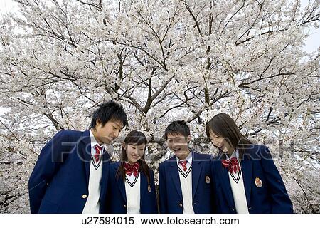 Stock Photography - High School Students Looking Down with Cherry Blossoms in the Background. Fotosearch