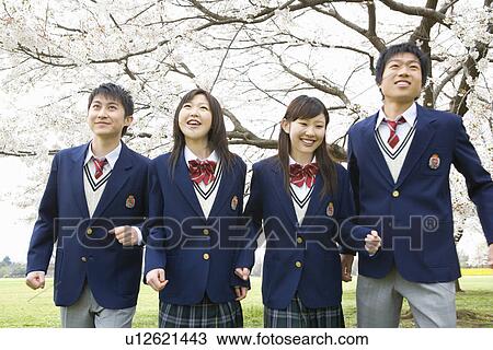 High School Students Under Cherry Blossoms View Large Photo Image Stock Image - High School Students Under Cherry Blossoms. Fotosearch