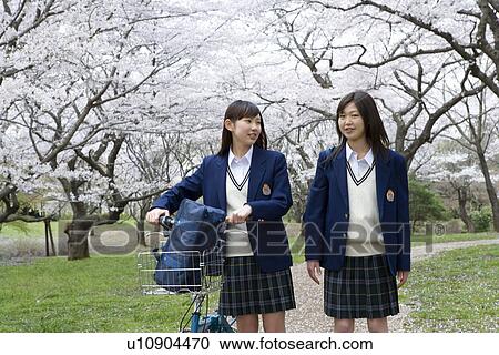 Stock Image - Two High School Girls on Path with Cherry Blossoms beside it. Fotosearch