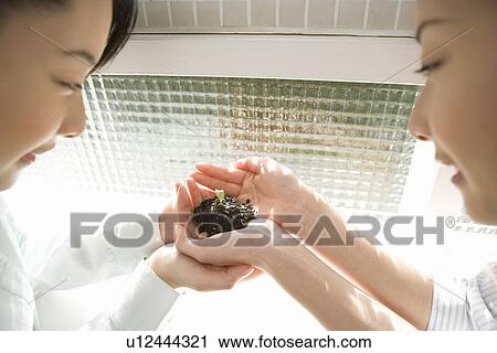 Stock Image - Twin sisters looking at a bud in hands, high angle view. Fotosearch
