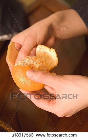 Stock Image - Woman peeling an orange, high angle view, close up, Japan. Fotosearch