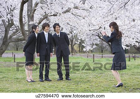 Businesswoman Taking Picture of Co-workers Under Cherry Trees, Smiling, Full Length, Side View View Large Photo Image Stock Image - Businesswoman Taking Picture of Co-workers Under Cherry Trees, Smiling, Full Length, Side View. Fotosearch