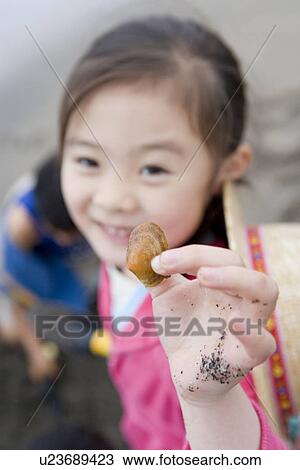 Girl collecting seashells View Large Photo Image Stock Image - Girl collecting seashells. Fotosearch