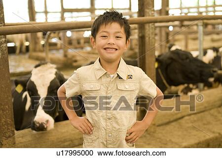 Stock Image - Portrait of Boy in Front of cows in a barn . Fotosearch