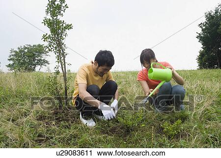 Two people planting tree View Large Photo Image Stock Image - Two people planting tree. Fotosearch