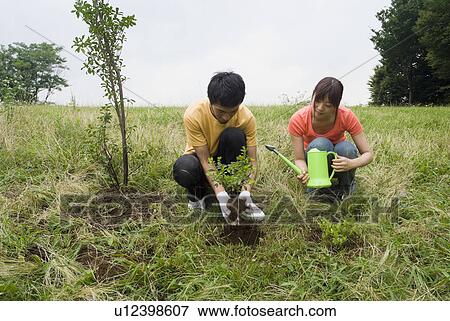 Stock Photo - Two people planting tree. Fotosearch