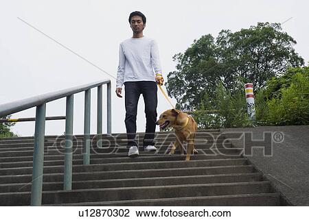 Stock Image - Young man descending steps with dog. Fotosearch