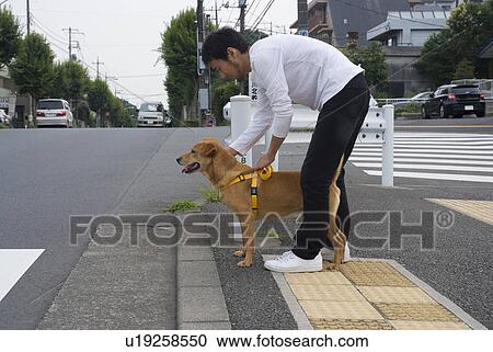 Stock Image - Young man training dog. Fotosearch