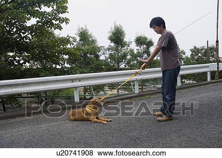 Young man training dog View Large Photo Image Stock Photo - Young man training dog. Fotosearch