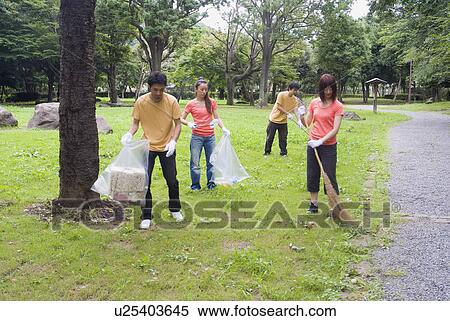 Young people cleaning park View Large Photo Image Stock Photography - Young people cleaning park. Fotosearch