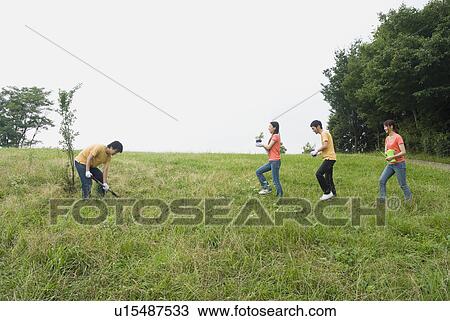 Young people planting tree View Large Photo Image Stock Image - Young people planting tree. Fotosearch