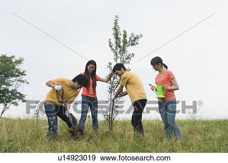 Stock Photo - Young people planting tree. Fotosearch