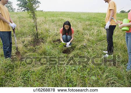Young people planting tree View Large Photo Image Stock Photo - Young people planting tree. Fotosearch