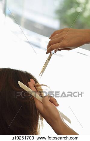 Stock Image - Hairdresser cutting woman's hair. Fotosearch