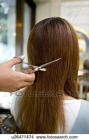 Picture - Young woman having hair cut. Fotosearch