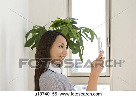Young woman looking at mobile phone View Large Photo Image Stock Photography - Young woman looking at mobile phone. Fotosearch