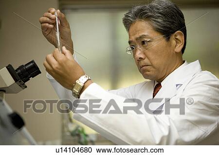 Stock Image - Doctor looking at test tube. Fotosearch