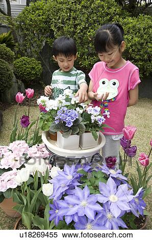 Stock Photography - Children touching flower in garden. Fotosearch