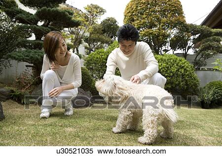 Stock Photography - Mid adult couple touching dog. Fotosearch